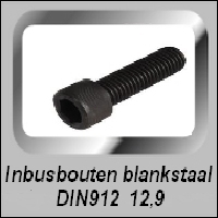 Inbus cilinderkop Blank 12.9