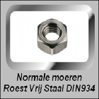 Normale Roest Vrij Stalen moeren