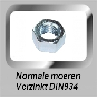 Normale Verzinkt moeren